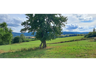 Działka dolnośląskie
kłodzki
Szczytna
Szczytna Na sprzedaż 2 270 000 PLN 63 070 m2 