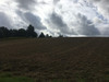 Działka małopolskie
krakowski
Skała
Minoga Na sprzedaż 210 000 PLN 3000 m2 