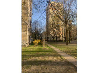 Mieszkanie mazowieckie
Warszawa
Wola Do wynajęcia 2800 PLN 38 m2 