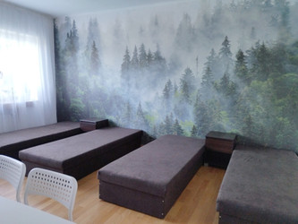 Pokój śląskie
częstochowski
Blachownia
Blachownia Do wynajęcia 800 PLN 