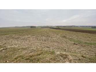 Działka świętokrzyskie
jędrzejowski
Sobków
Bizoręda Na sprzedaż 120 000 PLN 940 m2 