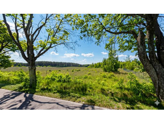 Działka warmińsko-mazurskie
olsztyński
Stawiguda
Pluski Na sprzedaż 530 000 PLN 1763 m2 