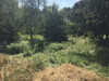 Działka lubelskie
puławski
Wąwolnica
Rąblów Na sprzedaż 690 000 PLN 14 128 m2 