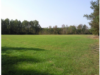 Działka mazowieckie
wołomiński
Strachówka
Kąty-Miąski Na sprzedaż 619 400 PLN 32 600 m2 