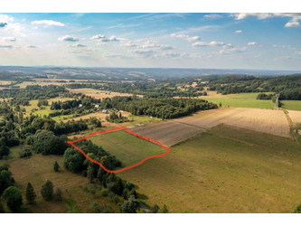 Działka dolnośląskie
lubański
Leśna
Kolonia Świecie Na sprzedaż 119 000 PLN 1100 m2 