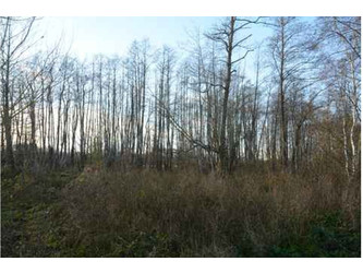 Działka lubelskie
bialski
Wisznice
Polubicze Dworskie Na sprzedaż 25 000 PLN 11 978 m2 