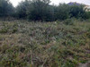 Działka mazowieckie
piaseczyński
Piaseczno
Głosków Na sprzedaż 480 000 PLN 1075 m2 