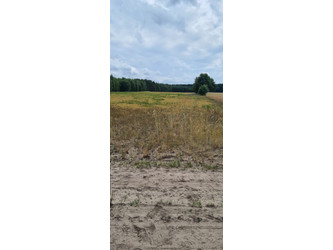 Działka mazowieckie
kozienicki
Grabów nad Pilicą
Augustów Na sprzedaż 85 000 PLN 3500 m2 