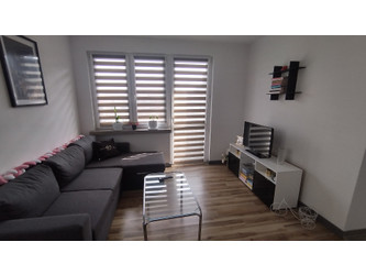 Mieszkanie lubelskie
biłgorajski
Biłgoraj Na sprzedaż 270 000 PLN 38,6 m2 