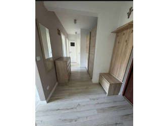 Mieszkanie mazowieckie
Warszawa
Bielany Do wynajęcia 4800 PLN 55 m2 