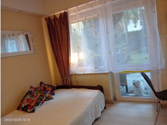 Pokój pomorskie
Gdynia
Orłowo Do wynajęcia 1200 PLN 