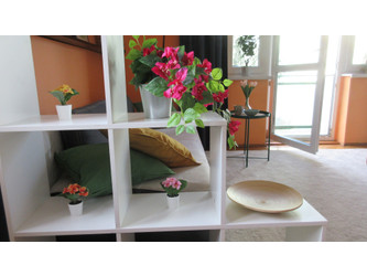 Pokój dolnośląskie
Wrocław Do wynajęcia 1300 PLN 