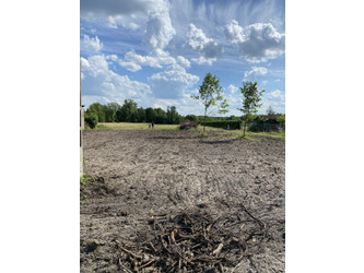 Działka mazowieckie
żyrardowski
Puszcza Mariańska
Bartniki Na sprzedaż 119 900 PLN 1200 m2 