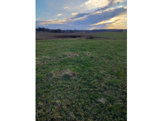 Działka pomorskie
gdański
Przywidz
Roztoka Na sprzedaż 100 PLN 1000 m2 