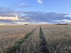 Działka mazowieckie
płocki
Gąbin
Koszelew Na sprzedaż 307 300 PLN 43 900 m2 