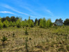 Działka warmińsko-mazurskie
piski
Pisz
Szczechy Wielkie Na sprzedaż 195 000 PLN 1300 m2 
