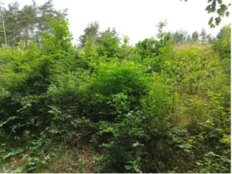 Działka pomorskie
kartuski
Kartuzy
Kiełpino Na sprzedaż 36 000 PLN 3007 m2 