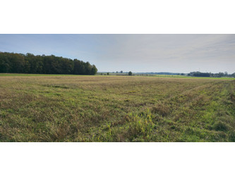 Działka lubuskie
żarski
Lipinki Łużyckie
Zajączek Na sprzedaż 67 500 PLN 1500 m2 