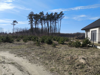 Działka łódzkie
pabianicki
Lutomiersk
Prusinowice Na sprzedaż 399 000 PLN 4411 m2 