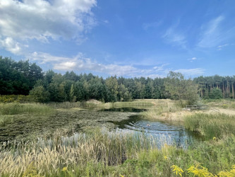 Działka mazowieckie
piaseczyński
Tarczyn
Świętochów Na sprzedaż 489 000 PLN 3684 m2 