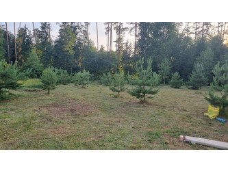 Działka podlaskie
augustowski
Płaska
Serski Las Na sprzedaż 199 000 PLN 3000 m2 