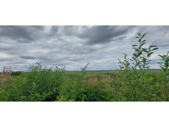 Działka łódzkie
radomszczański
Ładzice
Jedlno Pierwsze Na sprzedaż 12 800 PLN 4900 m2 