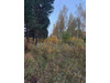 Działka mazowieckie
Warszawa Na sprzedaż 2 240 000 PLN 2654 m2 