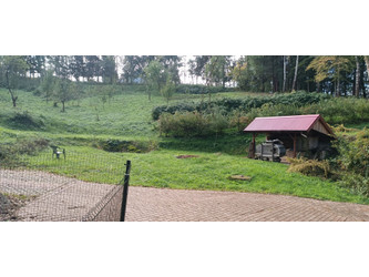 Komercyjne podkarpackie
brzozowski
Brzozów
Brzozów Do wynajęcia 2500 PLN 300 m2 