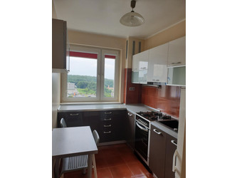 Mieszkanie pomorskie
Gdańsk
Piecki-Migowo Do wynajęcia 2600 PLN 45 m2 