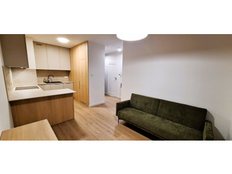 Mieszkanie podkarpackie
Rzeszów Do wynajęcia 2400 PLN 30,49 m2 