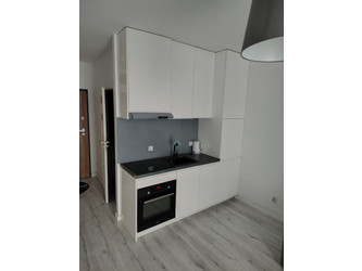 Mieszkanie mazowieckie
Warszawa
Wola Do wynajęcia 3300 PLN 30 m2 