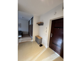 Mieszkanie łódzkie
Łódź
Widzew Do wynajęcia 2800 PLN 56,7 m2 