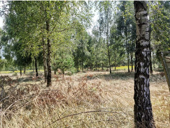 Działka mazowieckie
nowodworski
Pomiechówek
Szczypiorno Na sprzedaż 354 200 PLN 1771 m2 