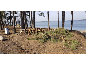 Działka warmińsko-mazurskie
ełcki
Ełk
Piaski Na sprzedaż 2 000 000 PLN 7100 m2 