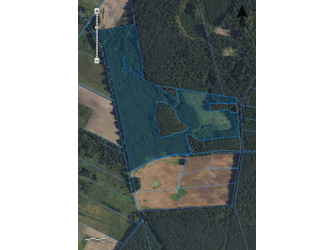 Działka lubuskie
strzelecko-drezdenecki
Dobiegniew
Radęcin Na sprzedaż 968 000 PLN 184 400 m2 