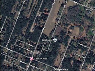 Działka mazowieckie
żyrardowski
Radziejowice
Adamów-Wieś Na sprzedaż 185 000 PLN 1500 m2 