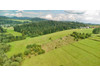 Działka małopolskie
nowotarski
Jabłonka
Jabłonka Na sprzedaż 84 000 PLN 5906 m2 