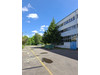 Magazyn warmińsko-mazurskie
Olsztyn
Podgrodzie Do wynajęcia 42 090 PLN 1830 m2 