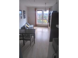 Mieszkanie mazowieckie
Warszawa
Bielany Do wynajęcia 2500 PLN 39 m2 