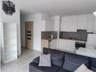 Mieszkanie wielkopolskie
Poznań
Grunwald Do wynajęcia 2700 PLN 38 m2 