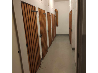 Pokój wielkopolskie
Poznań
Nowe Miasto Do wynajęcia 250 PLN 