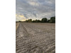 Działka łódzkie
łowicki
Nieborów
Bobrowniki Na sprzedaż 90 000 PLN 890 m2 
