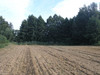 Działka lubelskie
krasnostawski
Krasnystaw Na sprzedaż 260 000 PLN 7345 m2 