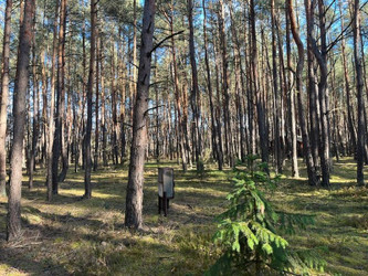 Działka mazowieckie
garwoliński
Wilga
Nowy Żabieniec Na sprzedaż 33 800 PLN 1565 m2 