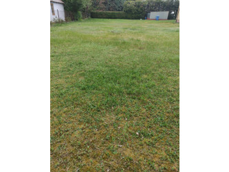 Działka mazowieckie
grodziski
Jaktorów
Sade Budy Na sprzedaż 215 000 PLN 800 m2 