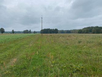 Działka mazowieckie
wyszkowski
Brańszczyk
Udrzyn Na sprzedaż 75 000 PLN 750 m2 