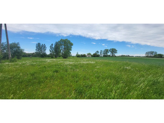 Działka lubelskie
chełmski
Siedliszcze
Chojeniec Na sprzedaż 55 000 PLN 22 700 m2 