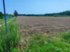 Działka podlaskie
siemiatycki
Siemiatycze Na sprzedaż 2 425 000 PLN 19 400 m2 