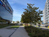 Lokal mazowieckie
Warszawa Do wynajęcia 5016 PLN 41,8 m2 