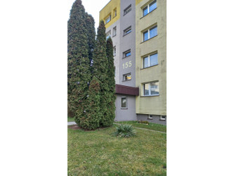 Mieszkanie śląskie
Bytom
Stroszek Na sprzedaż 249 000 PLN 50,2 m2 
